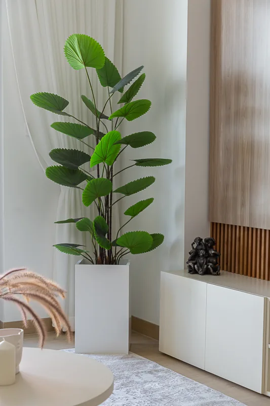 Timber-toned TV-wall edge, low cabinet and planting.