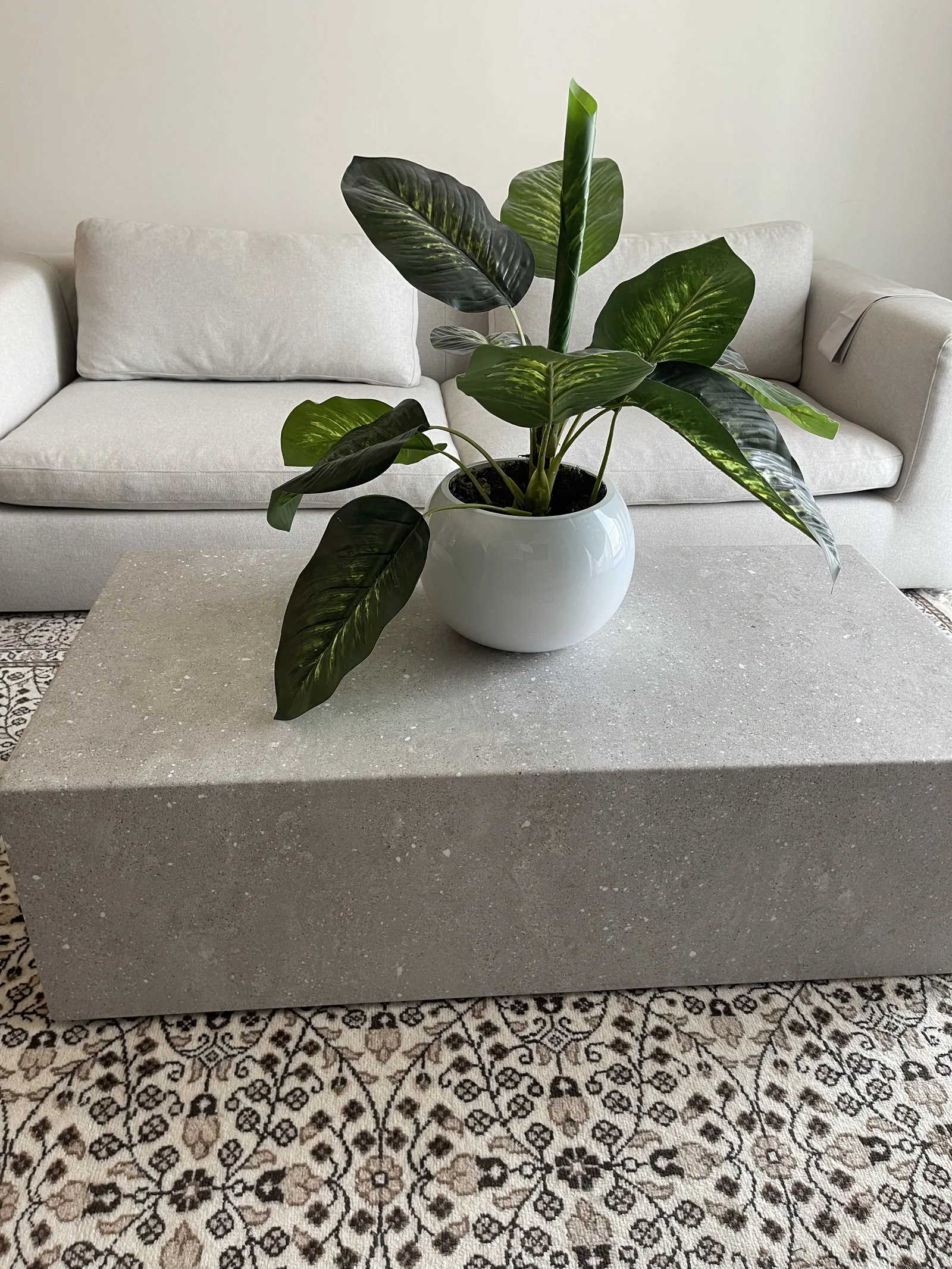 Grey block coffee table with a planter, pale sofa behind.