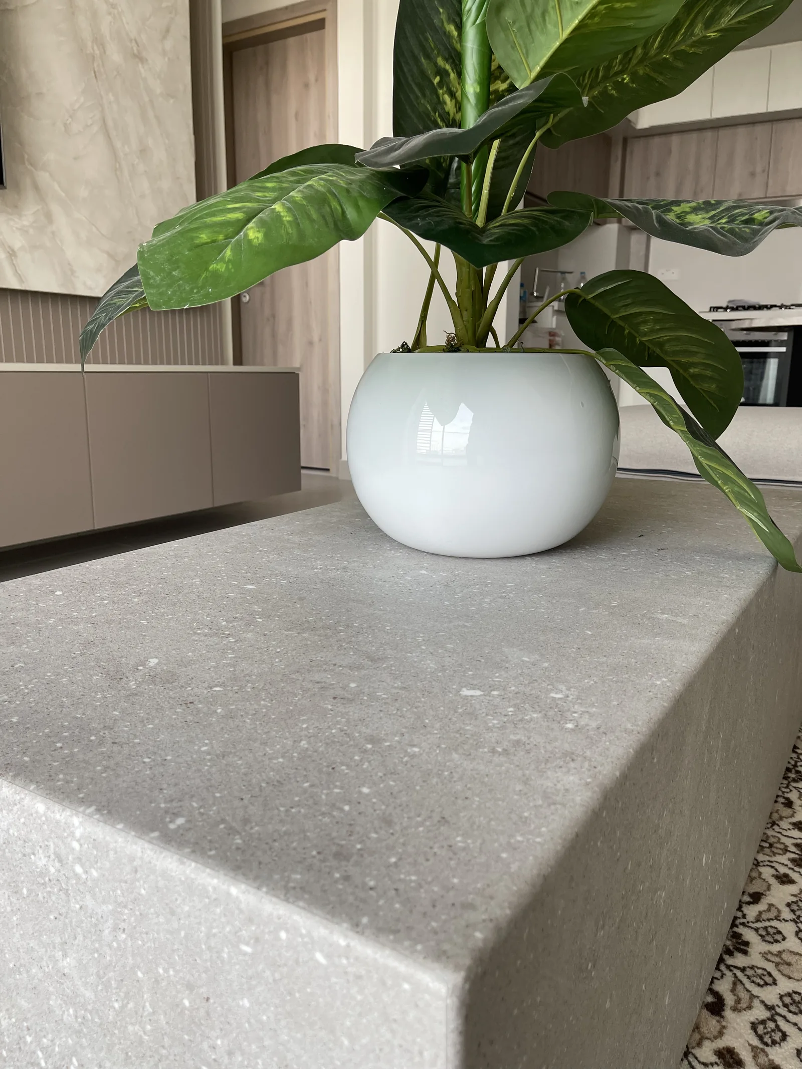 Close view of the coffee table corner and planter.